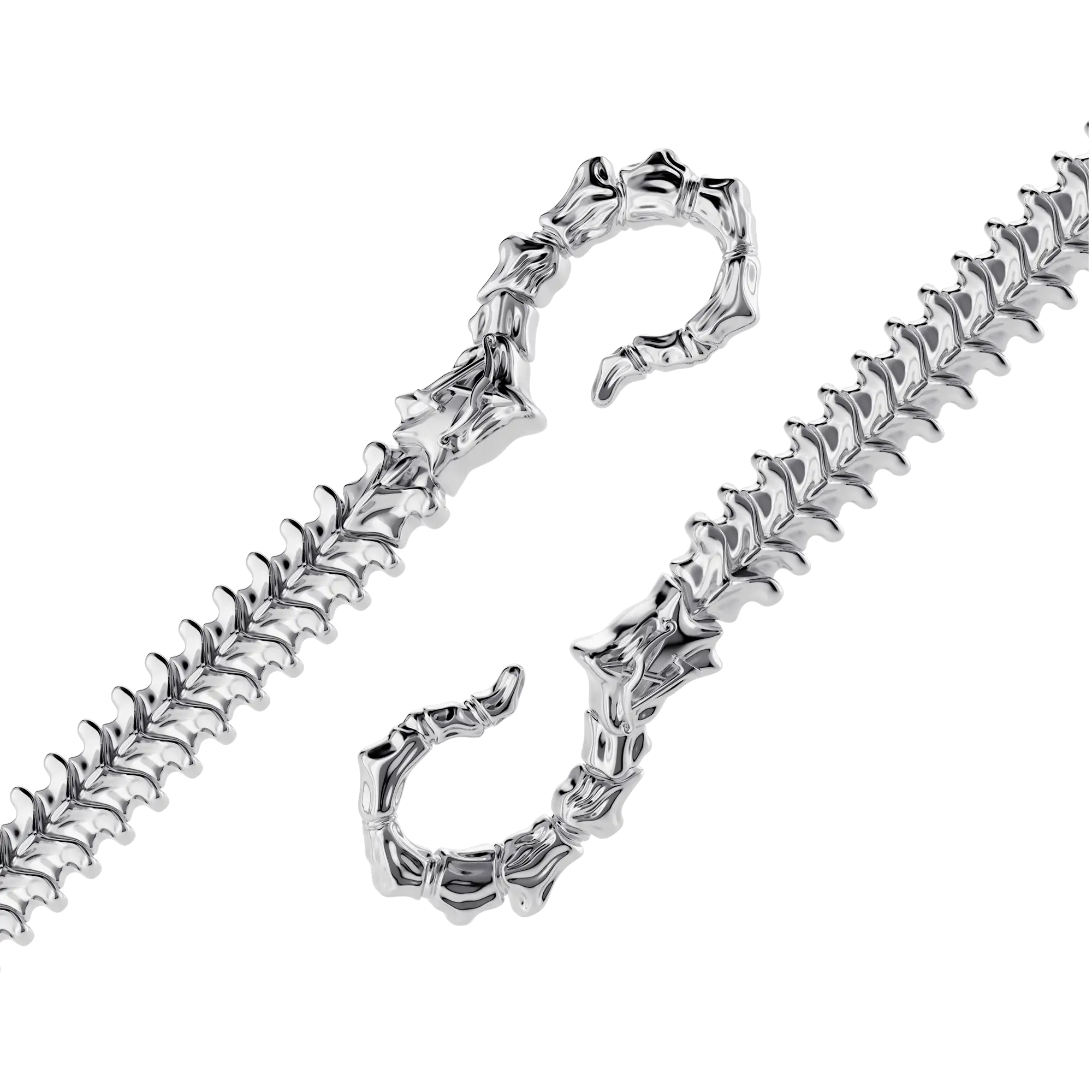 Catena del portafoglio della colonna vertebrale selvaggia