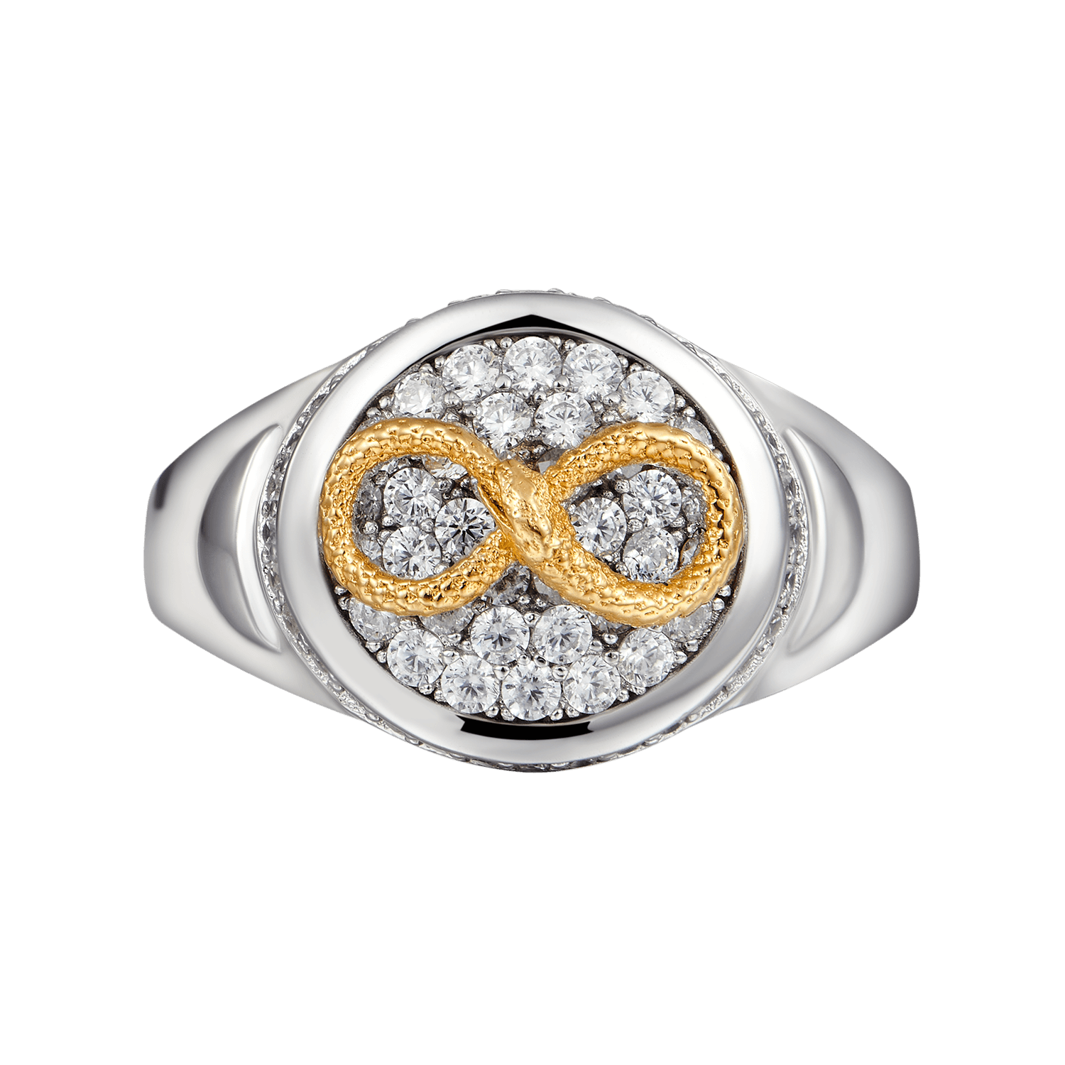 Unendlichkeit Eced Snake Signet Ring