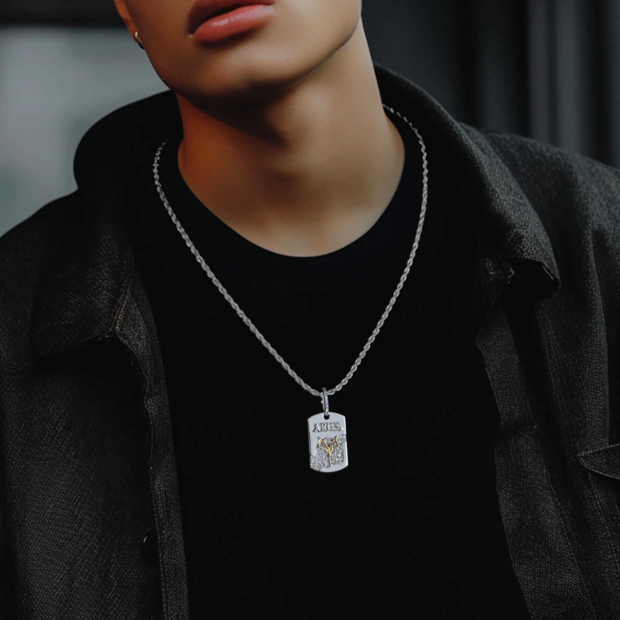 Zodiac Dog Tag Pendant