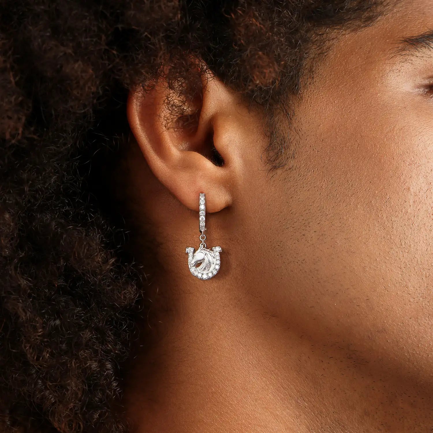 Moissanit S925 blinkender Hufeisen-Ohrring