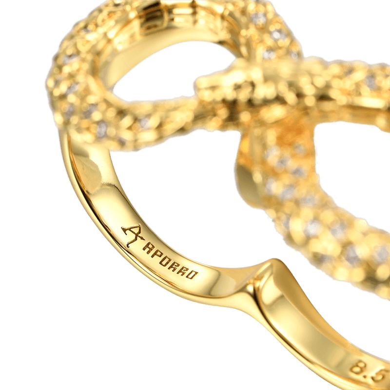 Infinity Snake Doppelfingerring - Infinity Snake Ring für Männer & Frauen - APORRO
