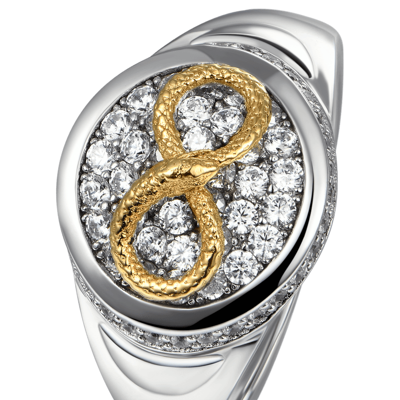 Infinity Iced Snake Signet Ring - Snake Infinty Ring For Men & Women - APORRO