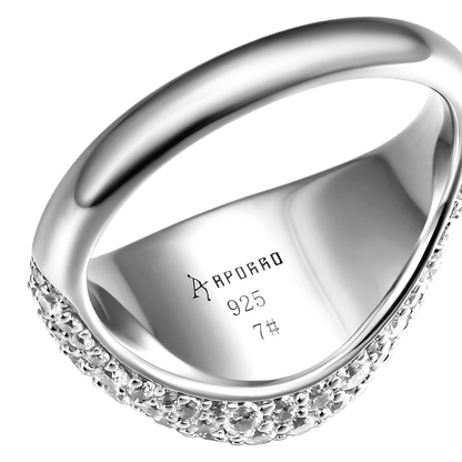 Eisdichtung Signet Ring