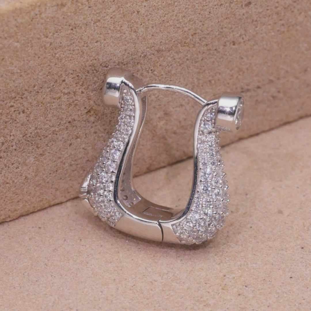 Horseshoe Hoop Earring