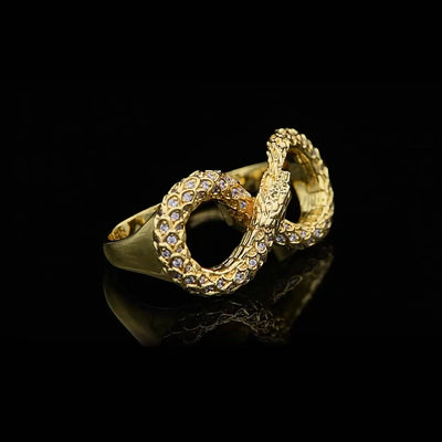 Unendlicher Schlangen-Doppelfingerring