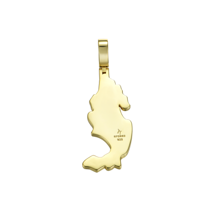 Map of Mexico Pendant